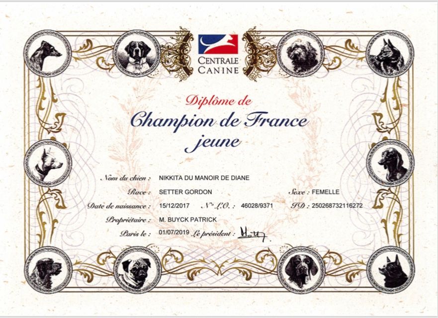 Du Manoir De Diane - Diplôme Champion de France Jeune pour Nikkita
