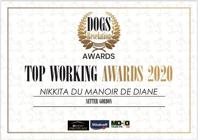 Du Manoir De Diane - TOP WORKING 2020 pour Nikkita