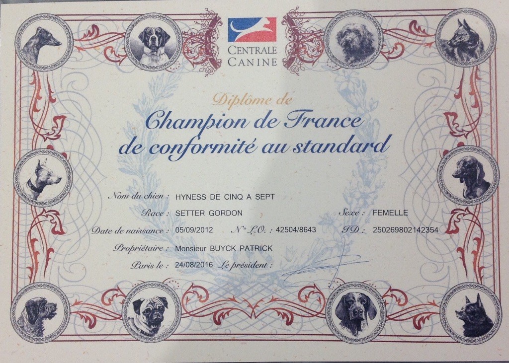 Du Manoir De Diane - Diplôme de Champion de France de Conformité au Standard