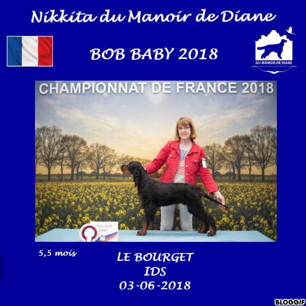 Du Manoir De Diane - Nikkita BEST BABY Championnat de France 2018