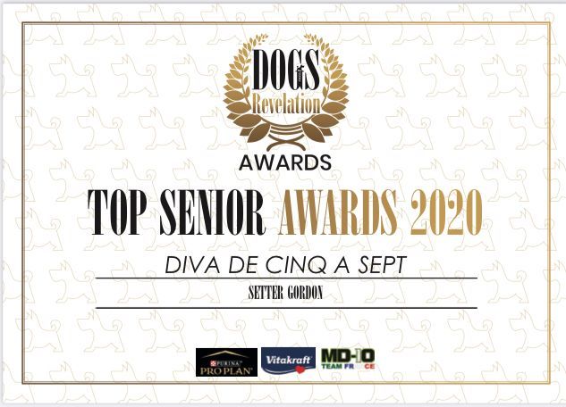 Du Manoir De Diane - TOP SENIOR 2020 pour Diva
