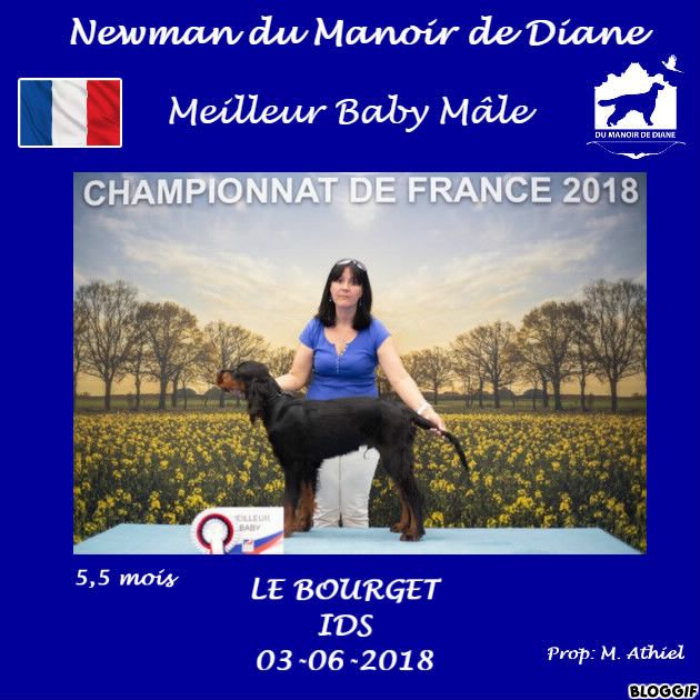 Newman Du Manoir De Diane